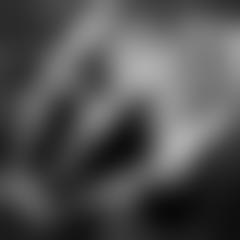 Stickman Run: Shadow Adventure