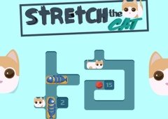 Stretch the Cat