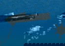 Sub Commander