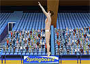 Summer Sports: Diving