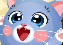 Super Happy Kitty