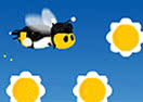 Symphony in Bee