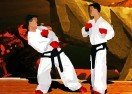 Taekwondo Online