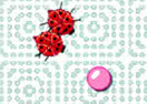 The Bugs