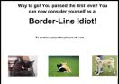 The Idiot Test