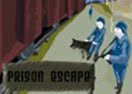 The Prision Escape