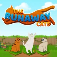 Jogo Cat Run no Jogos 360