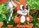 Toffy Cat