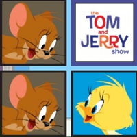 Tom and Jerry: Matching Pairs