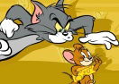 Tom and Jerry: Run Jerry