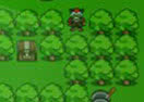 Treasure Quest