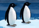 Turbocharged Penguins