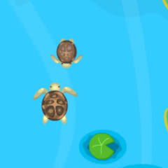 Turtle Dash