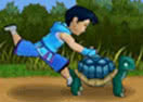 Turtle Home Run