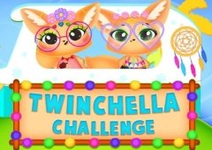 Twinchella Challenge