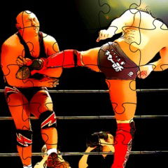 UFC Fighting Match Jigsaw