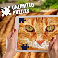 Unlimited Puzzles