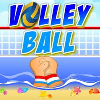 Volley Ball