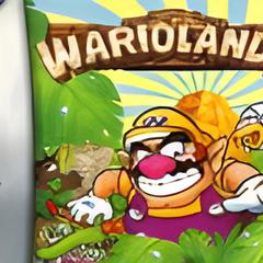Wario Land 4