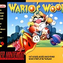 Wario's Woods