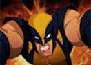 Wolverine Search and Destroy