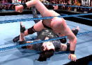 WWF Smackdown!
