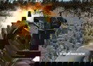 Zombie Waves 3D